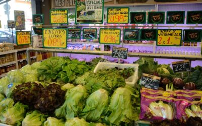 LAS VENTAS DEL COMERCIO MINORISTA SUBEN UN 5,7% EN NOVIEMBRE Y SUMAN UN AÑO DE ALZAS