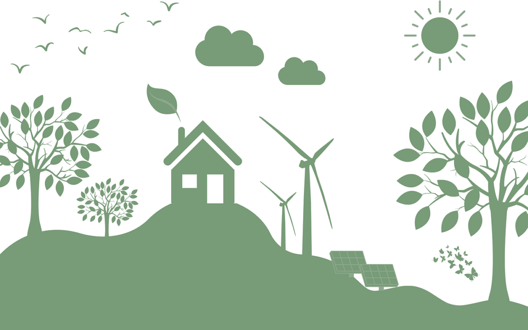 LIBERTAD DE AMORTIZACIÓN: INVERSIONES POR USO DE ENERGÍAS RENOVABLES Y VEHÍCULOS ELÉCTRICOS