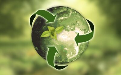 NUEVA LEY PARA QUE LOS PRODUCTOS DEL MERCADO DE LA UE SEAN MÁS SOSTENIBLES
