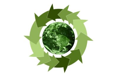 DE LA ECONOMÍA CIRCULAR A LA ECONOMÍA REGENERATIVA, UN PASO MÁS EN SOSTENIBILIDAD