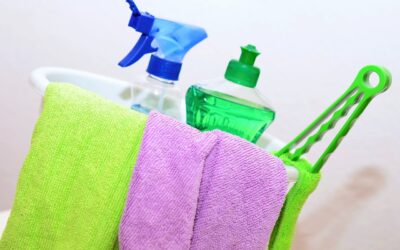 SE CONCEDE EL SUBSIDIO PARA MAYORES DE 52 AÑOS A LAS EMPLEADAS DE HOGAR AUNQUE NO HAYAN COTIZADO LO SUFICIENTE